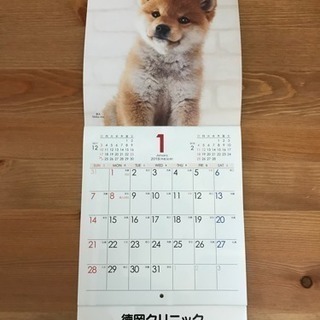 2018年 壁掛けカレンダー 仔犬 写真集 新品未使用