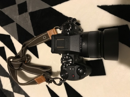 今すぐ使える！ 中古 ほぼ新品 美品 ミラーレス 一眼 カメラ Panasonic LUMIX G7 おまけつき 動画