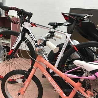 スコット ソレース20 2015-6