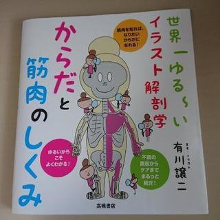 世界一ゆる～いイラスト解剖学/有川譲二