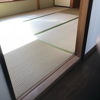 新品 畳 たたみ い草仕様 8畳 ＋ 6畳  計14畳