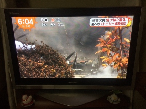 Panasonic VIERA TH-42PX600 テレビ