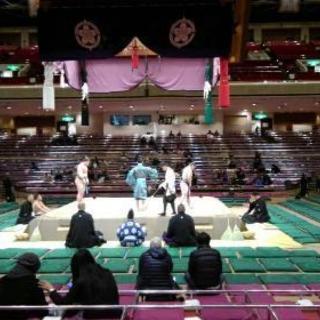 【奢ります】2/11(日)11時～両国国技館で大相撲トーナメント...