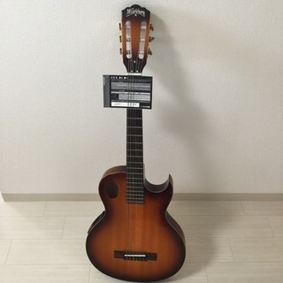 Washburn ワッシュバーン / EACT42S