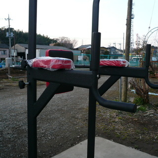 WASAI(ワサイ) ぶら下がり健康器 筋のばし 懸垂トレーニング