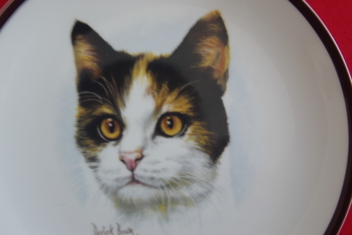 再再再値下げ品猫の顔を描いた絵皿 壁掛け金具付き Brayasu 館山のその他の中古あげます 譲ります ジモティーで不用品の処分