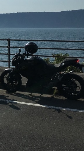 カワサキ kawasaki Z250