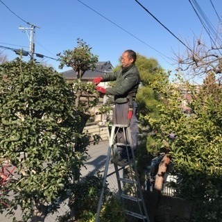 所沢市 入間市 狭山市 庭の手入れ リフォームならお任せを