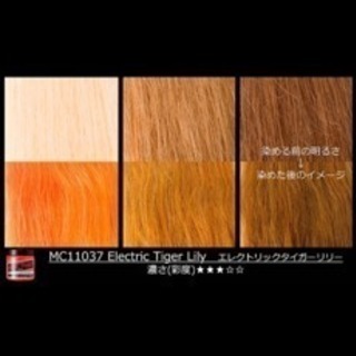 ヘアマニキュア オレンジ むらさきさん 東別院のその他の中古あげます 譲ります ジモティーで不用品の処分