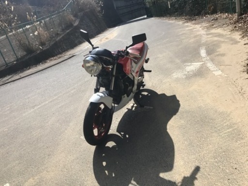 ホンダ VT250F