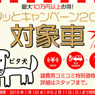 締切間近！！お車をご検討なさっている方、お早めにご連絡下さい！