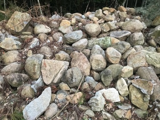 石 サイズ色々