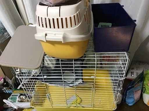 フェレット飼育セット