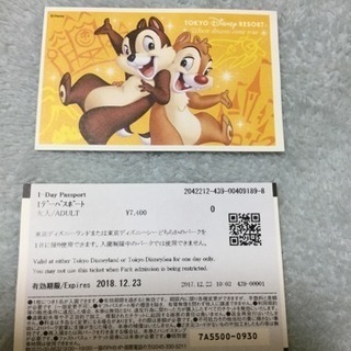 ディズニーランド・シー共通2枚セット