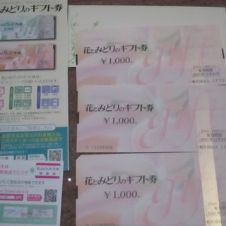 花とみどりのギフトカード　３０００円分