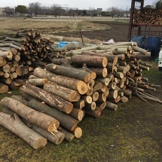 薪（暖炉ストーブ・バーベキュー等）