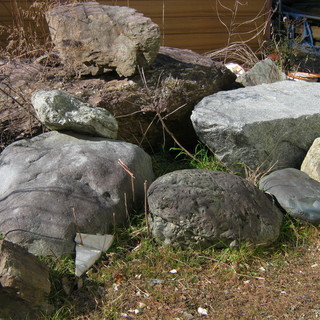 和風の庭に似合う石、大きめです