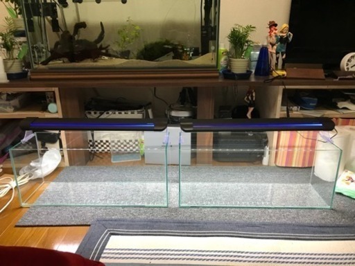 GEX スリム水槽 600×200×250 ＋ニッソー LEDライナー600 ブラック 2セット