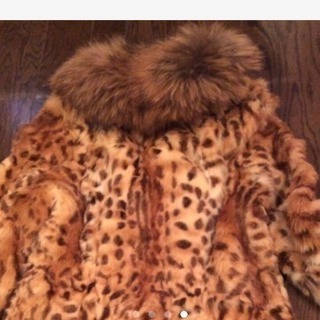 新品 ☆ラクーンとワイルドキャット ゴー ファーコート☆MからL ☆ 定価 ¥38万