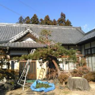 軽井沢での造園や、嬬恋村での植木管理のお手伝い - その他