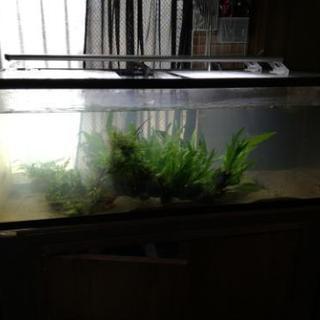 【配達可能】大型アクリル水槽　120cm