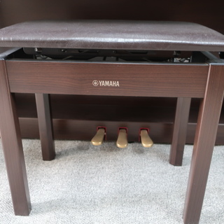 YAMAHA　SCLP-5450　2014製　￥112.000-