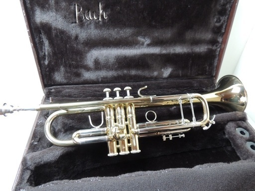 ﾄﾗﾝﾍﾟｯﾄ　BACH　StradiVariusu37ML　180GL
