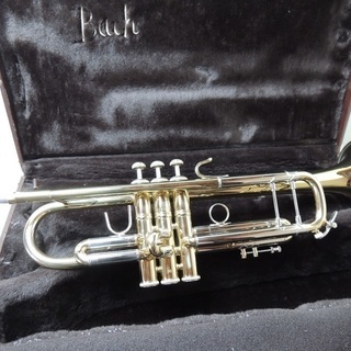 ﾄﾗﾝﾍﾟｯﾄ　BACH　StradiVariusu37ML　180GL