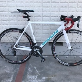 bianchi pista dalmine