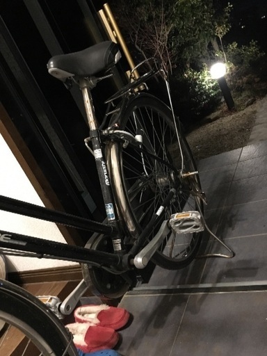 自転車 アルベルト