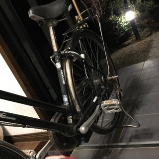 自転車 アルベルト