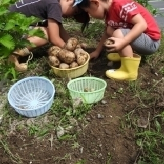 ６月の収穫に向けてジャガイモを植えよう！初春の古民家や田舎体験も！