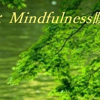 フォーカシングとマインドフルネス瞑想の会　けやき館 Vol.20