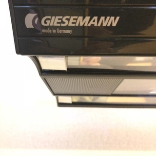 GIESEMANNメタハラ美品