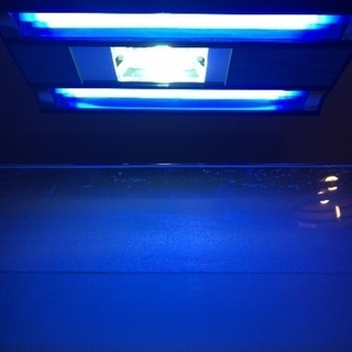 GIESEMANNメタハラ美品