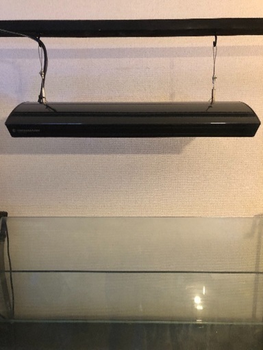 GIESEMANNメタハラ美品