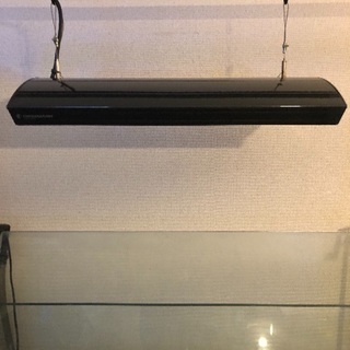 GIESEMANNメタハラ美品