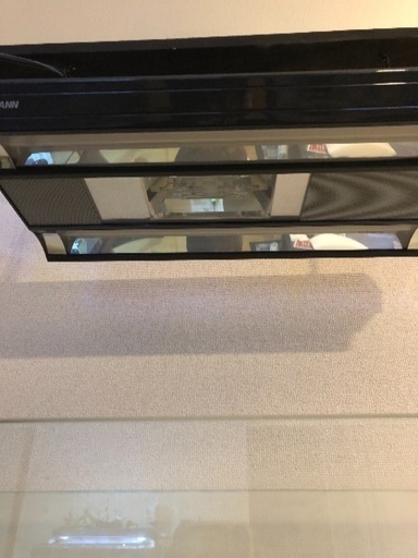 GIESEMANNメタハラ美品