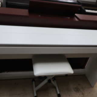 Roland     F-110W     ￥36.000-