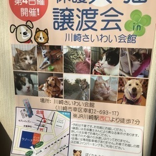 2/25（日）保護犬猫譲渡会in川崎