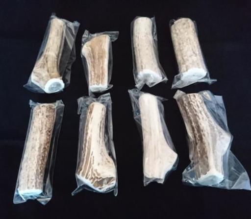 北海道産蝦夷鹿の角犬用無添加おやつ Cls 標津の食品の中古あげます 譲ります ジモティーで不用品の処分 北海道産蝦夷鹿の角犬用無添加おやつ Cls 標津の食品の中古あげます 譲ります ジモティーで不用品の処分