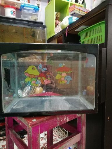 キャンセル出ましたので再募集 メーカー不明レトロフレーム水槽 Komeya 大阪のその他の中古あげます 譲ります ジモティーで不用品の処分