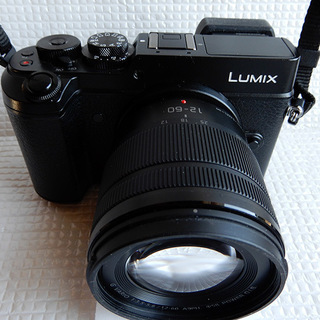 パナソニック G VARIO 14-42mm F3.5-5.6 カメラレンズ 人気のLumix GX8 G.Vario 12-60mm レンズ搭載