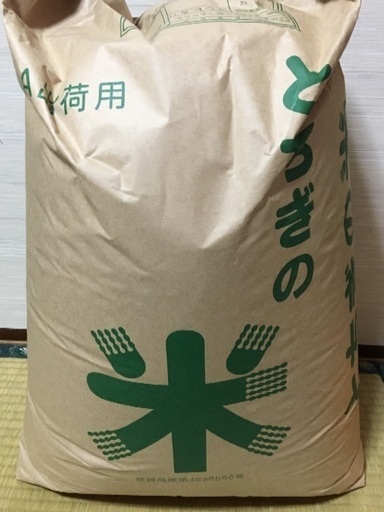 H29コシヒカリ玄米