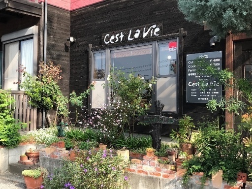 ひとり営業の隠れ家美容室 Cestlavie 柏のヘアサロンの無料広告 無料掲載の掲示板 ジモティー ひとり営業の隠れ家美容室 Cestlavie 柏のヘアサロンの無料広告 無料掲載の掲示板 ジモティー