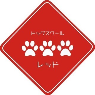 犬のしつけ教室・ようちえんなど