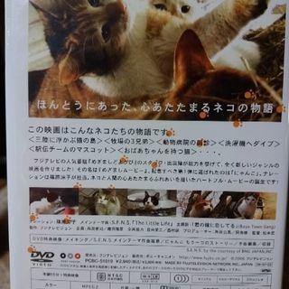 にゃんこthe Movie Dvd 値下げしました トントン 京都のdvd ブルーレイ その他 の中古あげます 譲ります ジモティーで不用品の処分