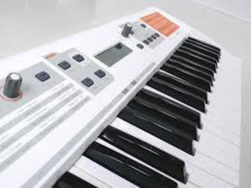 再値下】M-AUDIO VENOM シンセサイザー ソフトケース付 程度上 美品