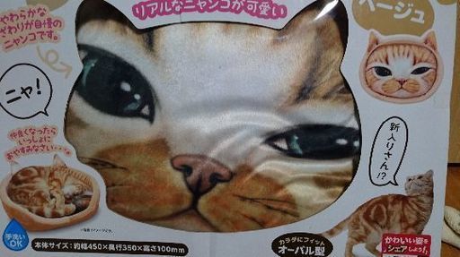 インスタにどうですか？キュートなリアルにゃんこの手触り抜群!!