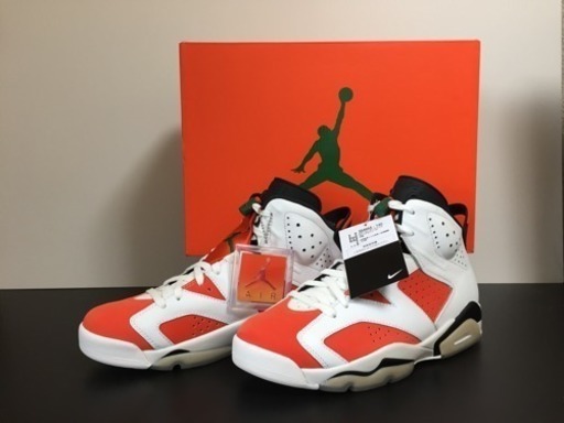 【値下げ中】国内正規品 NIKE AIR JORDAN 6 27.5cm